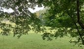 Trail Walking Lasne - autour d'Ohain... - Photo 5