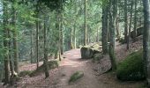 Trail  Obernai - Domaine St Jacques Mont St Odile  - Photo 1