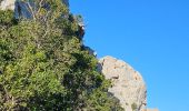 Excursión Senderismo La Farlède - Petit Coudon en partant de La Farlède - Photo 5