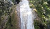 Trail On foot Sasca Montană - Sasca Montană – Cascada Șușara – Cărbunari (blue plus) - Photo 5