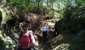 Excursión Senderismo Poigny-la-Forêt - Poigny la forêt - Photo 9