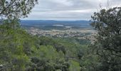 Randonnée Marche Lauret - lauret-rocher-du-Causse - Photo 19