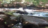 Tocht Stappen Libin - balade du dimanche entre eau et forêt  - Photo 13