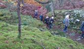 Trail Walking Fontainebleau - vert galant 25 novembre 2022  - Photo 5