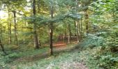 Tocht Mountainbike Virton - Stockfontaine  -  Balade_VTT_24kms - Photo 15