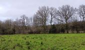 Trail Walking Aywaille - sedoz - vert-buisson (via ninglinspo) - porallée - vieux chera - sedoz - Photo 11