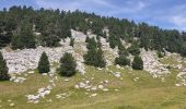 Tocht Stappen Saint-Agnan-en-Vercors - haut plateau depuis la coche  - Photo 1