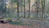 Trail Walking Theux - tillot . hodbomont . mont . wisselez . tillot - Photo 17