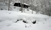 Randonnée Raquettes à neige Ventron - 20210124 - Col-Oderen - Chalet Forgoutte - Photo 1