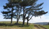 Tour Wandern Cenves - Cenves 
