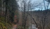 Trail Walking Libin - laisse la lesse  - Photo 10