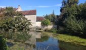 Tocht Mountainbike Chablis - Tacot de l'yonne le long du Serein - Photo 7