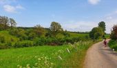 Tocht Stappen Gedinne - Balade à Gedinne - Photo 13