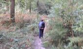 Trail Walking Fontainebleau - T- Bourron - Photo 6