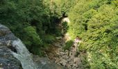 Tour Wandern Menétrux-en-Joux - Trois cascades du Hérisson  - Photo 4