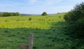 Tocht Stappen Nasbinals - live Nasbinals - Saint Chély  - Photo 6