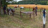 Tour Reiten Lobsann - Lobsann et alentours - Photo 1