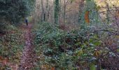 Trail Walking Lestrade-et-Thouels - randonnée l'estrade et thouesl  - Photo 2