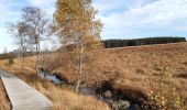 Excursión Senderismo Waimes - botrange - tour de la fagne wallonne  - Photo 11