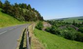 Excursión Senderismo Landeyrat - Cantal - Landeyrat - La Roche - 12km 180m 3h35 - 2019 06 28 - Photo 5