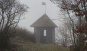 Tocht Stappen Vianden - Les panoramas de Vianden  - Photo 12