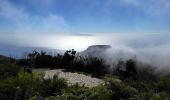 Trail On foot Vallehermoso - Ruta 14: Laguna Grande - Alto de Garajonay - Photo 2