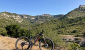 Tocht Mountainbike Puget - Puget -le Trou du Rat par les singles - Photo 1