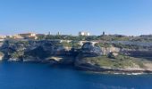 Randonnée Marche Bonifacio - plages des calanques et phare - Photo 2