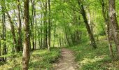 Percorso Marcia Doische - Promenade de la Bonne-Fontaine   - Photo 4