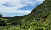 Randonnée  Saint-Claude - Soufrière  - Photo 4