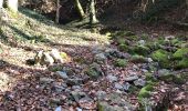 Tour Wandern Ferrières - Palogne hamoir Palogne  - Photo 14