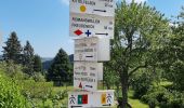Tour Wandern Wangenburg-Engenthal - ARCA WANGENBOURG - Photo 3