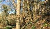 Tocht Stappen Chaumont-Gistoux - Ardennes Brabançonne Chaumont-Gistoux  - Photo 1