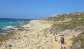 Randonnée Marche Santo-Pietro-di-Tenda - Le sentier côtier entre la plage de Seleccia et celle de Lotu - Photo 7