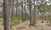 Percorso Marcia Unknown - Parc naturel de Kristiansand  - Photo 16