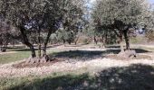 Trail Walking Sarrians - sarrians 84 les garrigues sud  - Photo 6