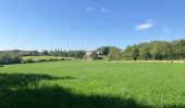 Tour  Castelnau-de-Montmiral - Chemin de Gradille avec chapelle  - Photo 12