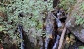 Excursión Senderismo Aumessas - Lac de Pise au départ de Aumessas  - Photo 18