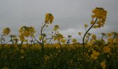 Tour Wandern Saint-Aubin-Épinay - 20220405-Epinay - Photo 16