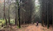 Trail Walking Manhay - La Gotale (chêne al Pierre )14 Km - Photo 5