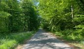 Percorso Marcia Compiègne - en Forêt de Compiègne_50_les Routes des Beaux Monts, de Morpigny et des Nymphes - Photo 17