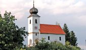 Tour Zu Fuß Sankt Martin im Sulmtal - Genusstour - Photo 4