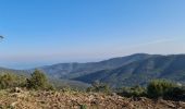 Randonnée Marche Sainte-Maxime - Vers Peigros - Photo 2