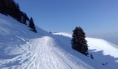 Excursión Esquí de fondo Notre-Dame-des-Millières - La Thuile NO - Photo 4