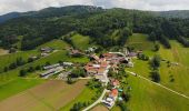 Percorso A piedi Röhrnbach - Wanderweg Goggersreut-Röhrnbach - Photo 1