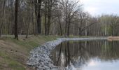 Excursión A pie Teichland - Rundwanderweg Neuendorfer Teich. - Photo 1