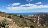 Randonnée Marche Port-Vendres - Port Vendres Collioure sur les hauteurs et la côte  - Photo 12