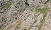 Tour Wandern Albertacce - mont albanu - Photo 5