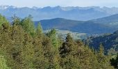 Randonnée Marche Verdaches - VERDACHE.  Charcherie  , balade du Pré des Bois , cabane des bœufs  , o ĺ s - Photo 2