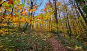 Trail Walking Ham-sur-Heure-Nalinnes - La promenade du Pré al Rocq - Photo 4